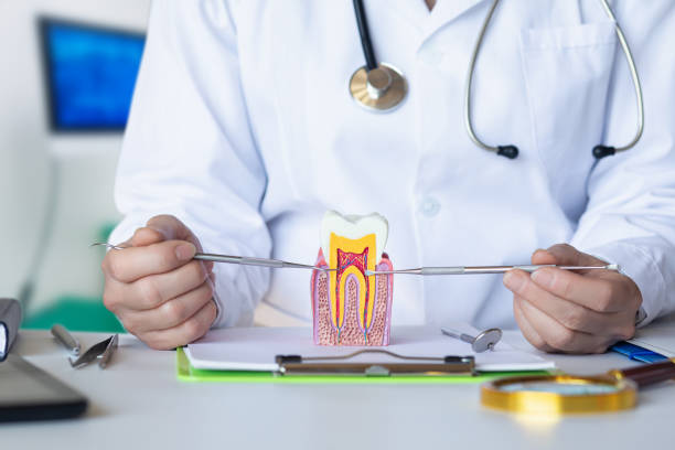 Best Emergency Dental Extractions in Westlake Vlage, IL